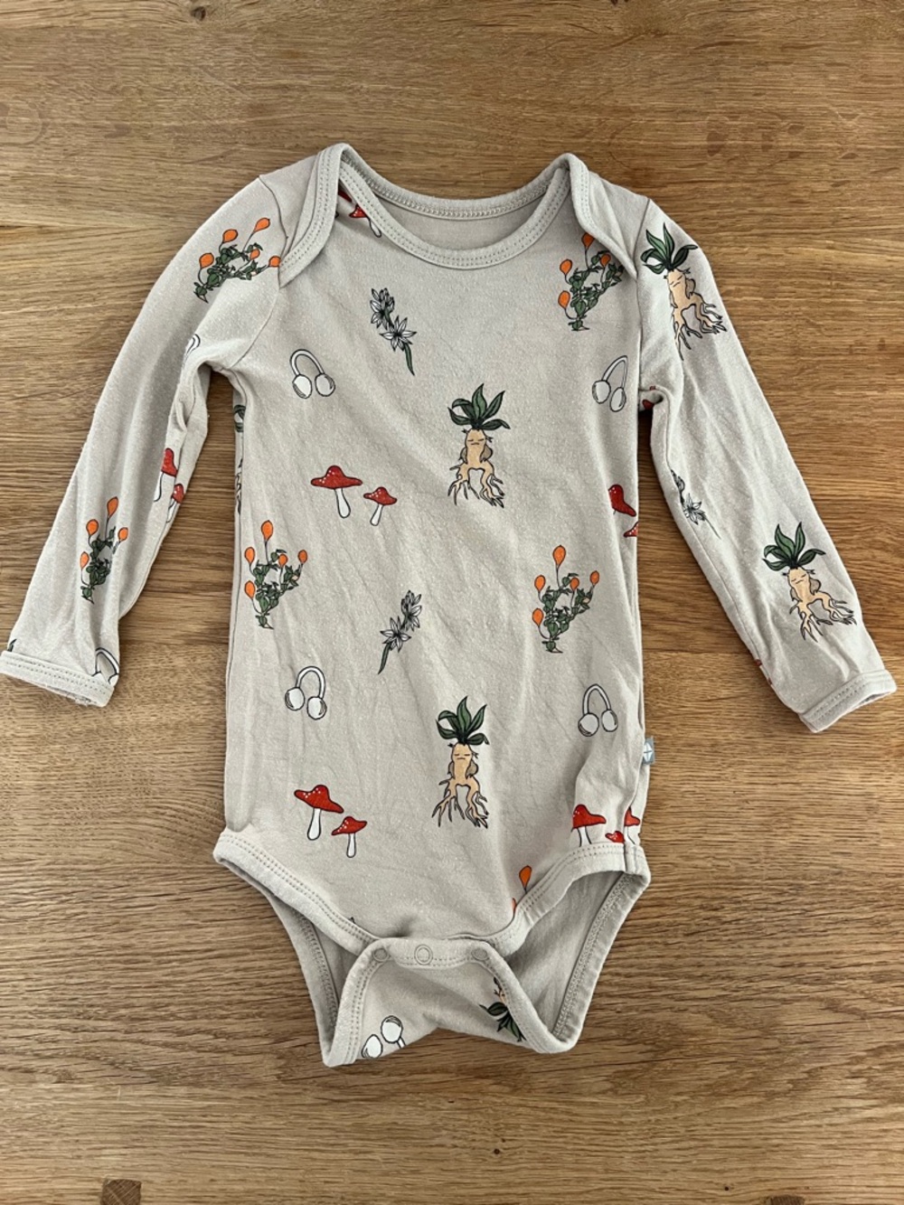 Kyte Baby Bodysuit Harry Potter Herbology Mushroom Botanical Print One-Piece 12m